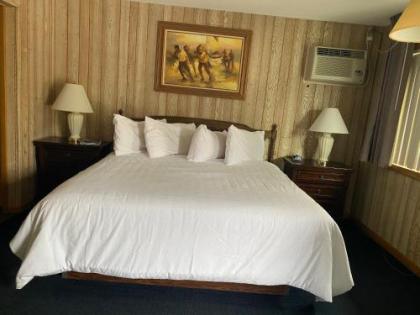 Saddle & Surrey Motel - image 2