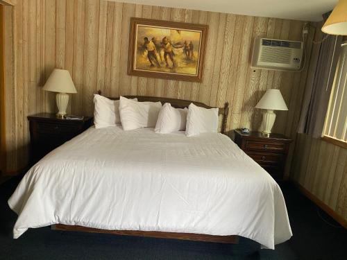 Saddle & Surrey Motel - image 2