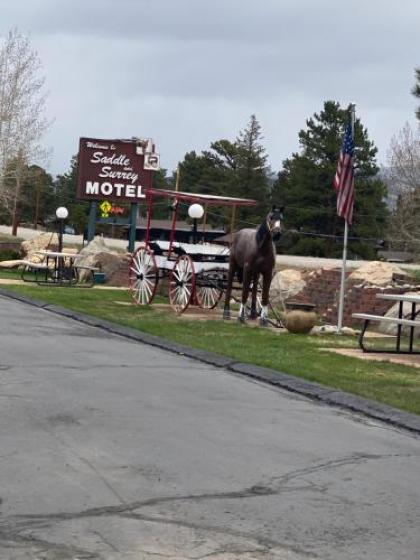 Saddle & Surrey Motel - image 3