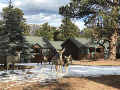 Mountain Shadows Resort - image 5