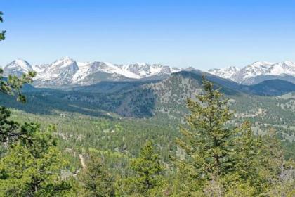 Deering Crest - image 2