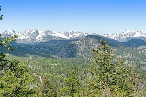 Deering Crest - image 2