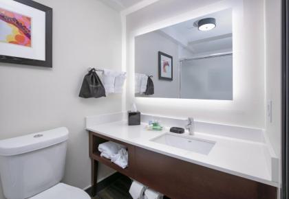 Holiday Inn Dallas - Fort Worth Airport South an IHG Hotel - image 14