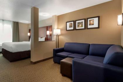 Comfort Inn & Suites - image 10