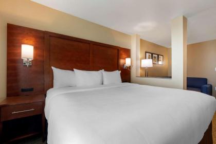 Comfort Inn & Suites - image 12