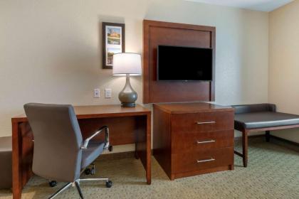 Comfort Inn & Suites - image 13