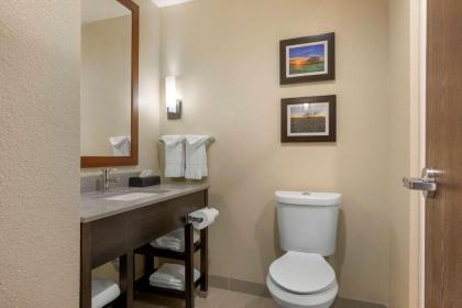 Comfort Inn & Suites - image 14