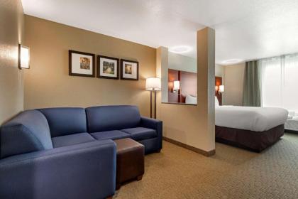 Comfort Inn & Suites - image 15