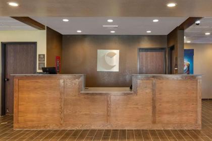 Comfort Inn & Suites - image 2