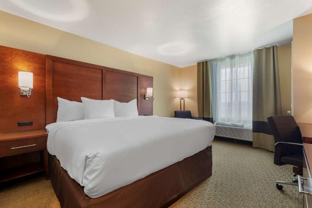 Comfort Inn & Suites - image 5