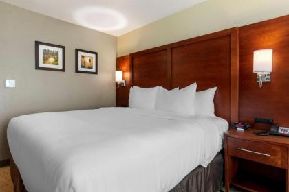 Comfort Inn & Suites - image 6