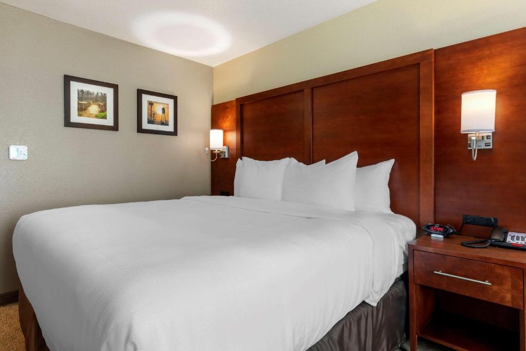 Comfort Inn & Suites - image 6