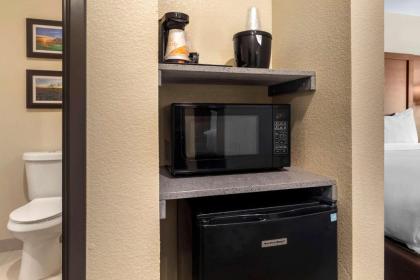 Comfort Inn & Suites - image 7