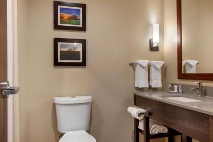 Comfort Inn & Suites - image 9