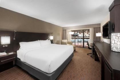 Holiday Inn At Six Flags Saint Louis an IHG Hotel - image 21