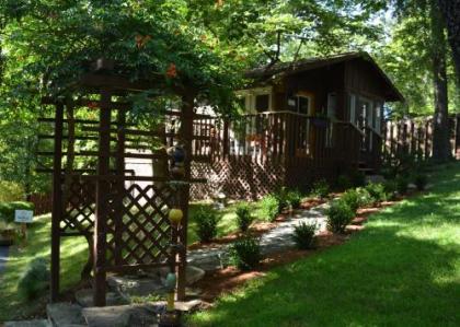 the Woods Cabins Arkansas