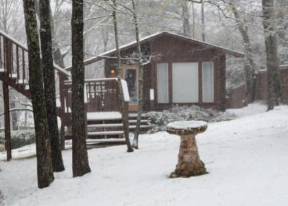 The Woods Cabins - image 4