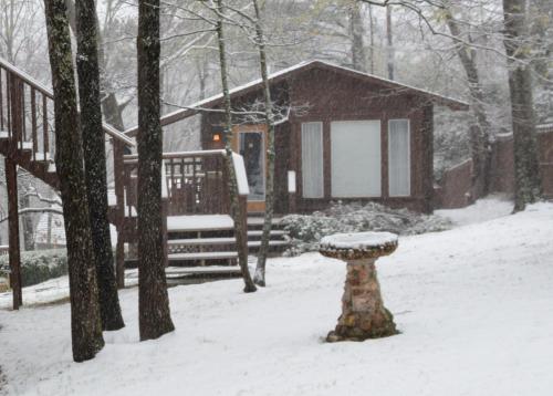 The Woods Cabins - image 4
