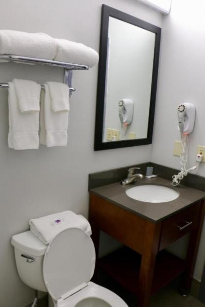 Quality Inn & Suites Watertown Fort Drum - image 14