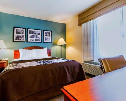 Sleep Inn & Suites Evansville - image 13