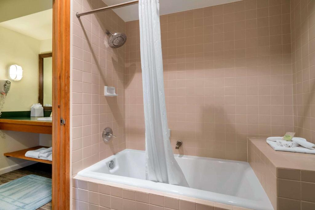 Inn at Port Gardner Ascend Hotel Collection - image 4
