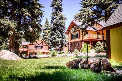 Alpen Way Chalet mountain Lodge Evergreen Colorado