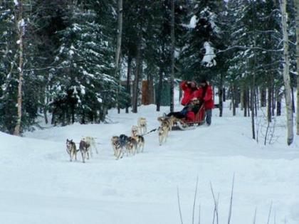 Chena Hot Springs Resort - image 10