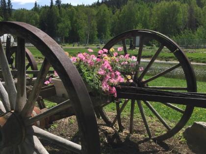 Chena Hot Springs Resort - image 15