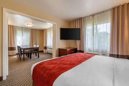Comfort Inn Cordelia - image 13