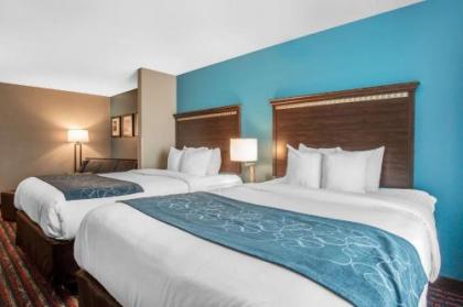 Comfort Suites Fairview Heights - image 15