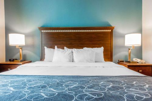 Comfort Suites Fairview Heights - image 2