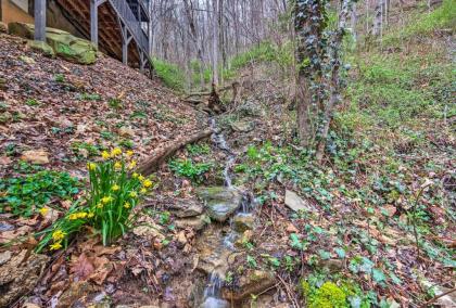 Pet-Friendly Cabin with Decks and Mountain Views! - image 3