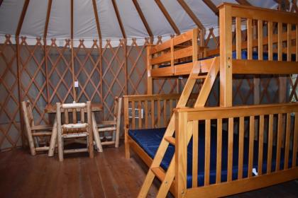 Tall Chief Camping Resort Yurt 5 - image 3