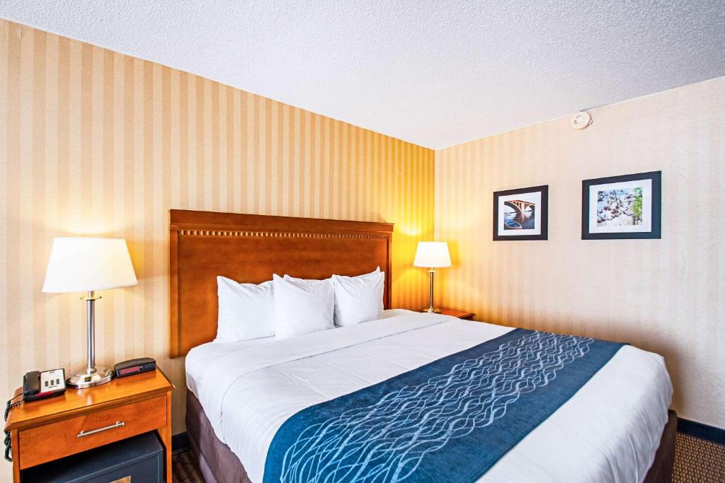 Comfort Inn Arlington Boulevard - image 6