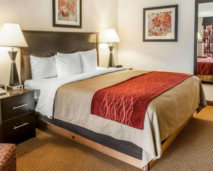 Quality Inn & Suites Farmington - image 15