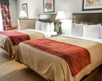 Quality Inn & Suites Farmington - image 2