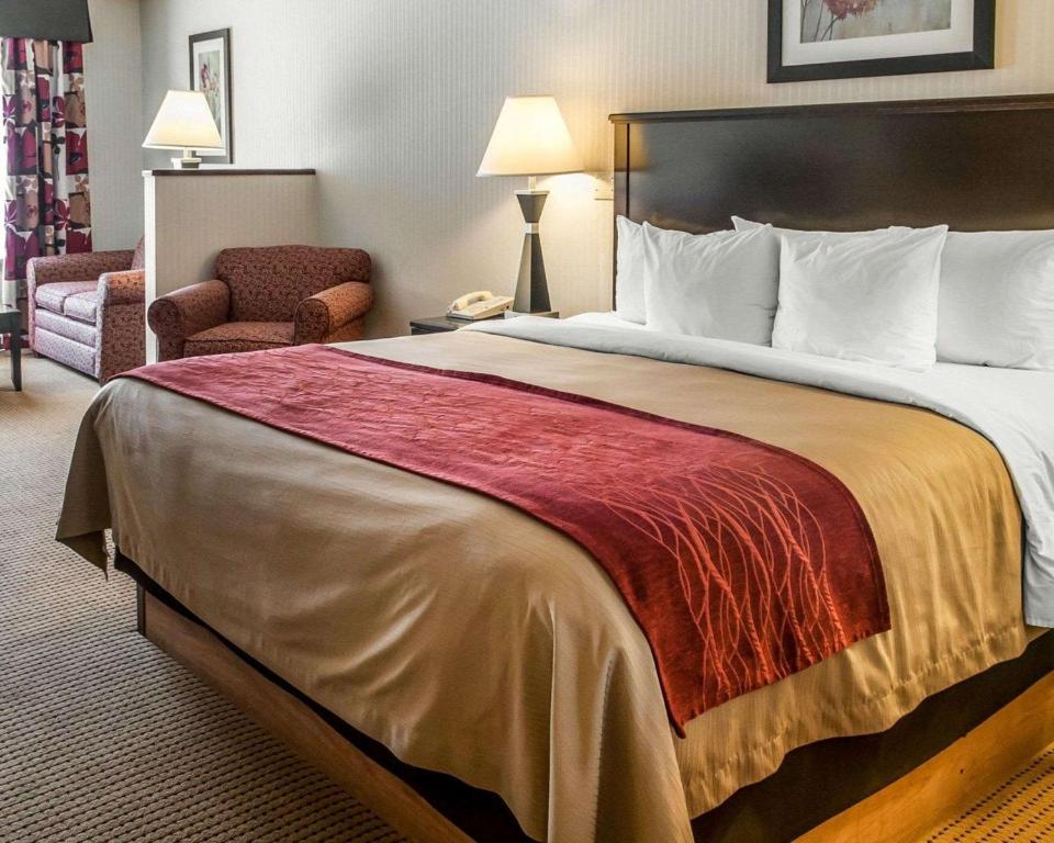 Quality Inn & Suites Farmington - image 6