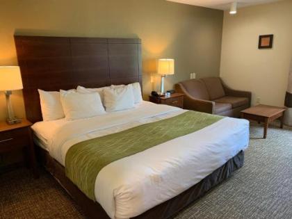 Comfort Inn Fayetteville I-95