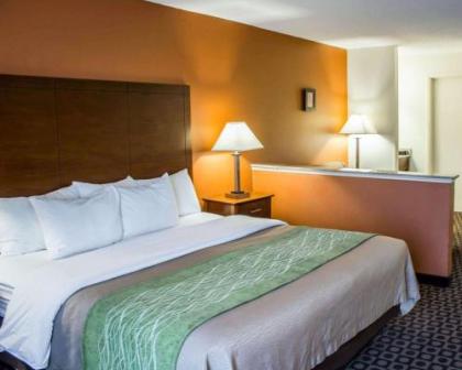Comfort Inn Fayetteville I-95 - image 2