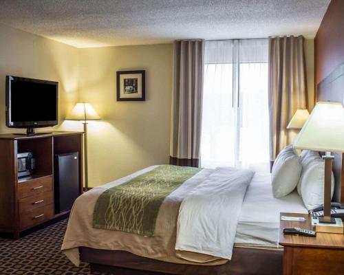 Comfort Inn Fayetteville I-95 - image 3