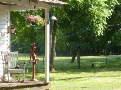 Mulberry Lavender Farm and B&B - image 10