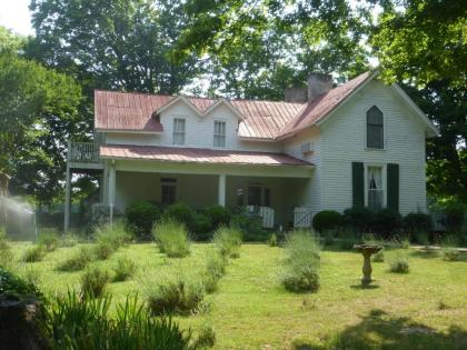 Mulberry Lavender Farm and B&B - image 12