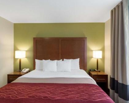Comfort Inn & Suites Fayetteville-University Area - image 4