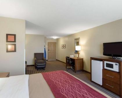 Comfort Inn & Suites Fayetteville-University Area - image 5