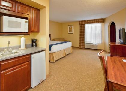 Holiday Inn Express Hotel & Suites Fenton/I-44 an IHG Hotel - image 21