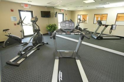Holiday Inn Express Hotel & Suites Festus-South St. Louis an IHG Hotel - image 8