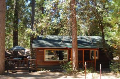 Chalets in Fish Camp California