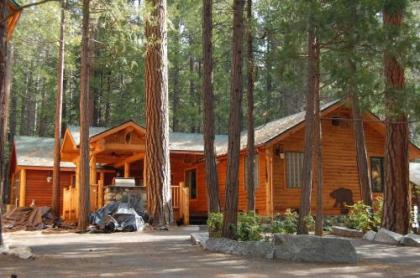 Chalets in Fish Camp California