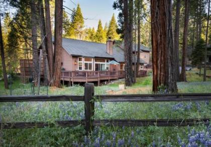 2A the terry Cabin California