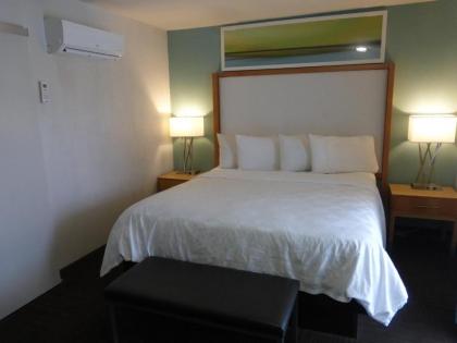 Red Roof Inn PLUS & Suites Tampa - image 5